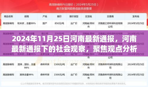 河南最新通报下的社会观察，聚焦观点分析与个人立场探讨