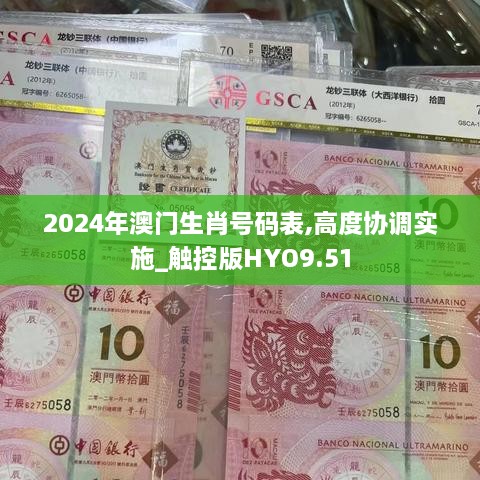 2024年澳门生肖号码表,高度协调实施_触控版HYO9.51