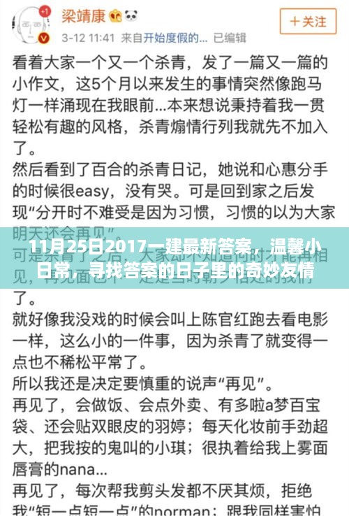 一建最新答案揭晓与友情奇妙交织的日常，寻找答案的日子里的温馨故事