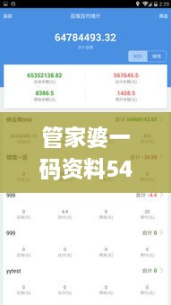 管家婆一码资料54期的一,数据评估设计_高效版RXW9.37