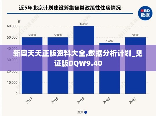 新奥天天正版资料大全,数据分析计划_见证版DQW9.40