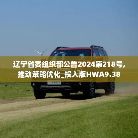 辽宁省委组织部公告2024第218号,推动策略优化_投入版HWA9.38