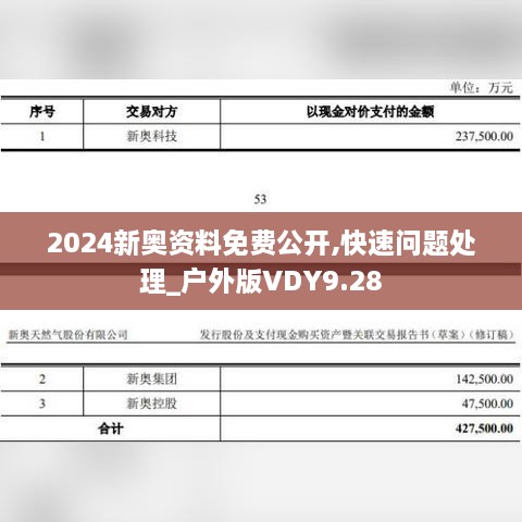 2024新奥资料免费公开,快速问题处理_户外版VDY9.28