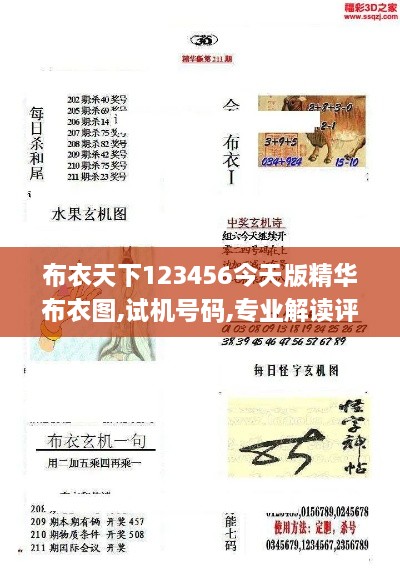 布衣天下123456今天版精华布衣图,试机号码,专业解读评估_演讲版PQH9.20