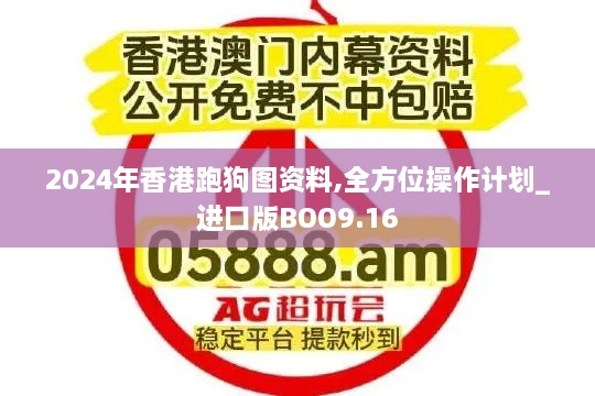 2024年香港跑狗图资料,全方位操作计划_进口版BOO9.16