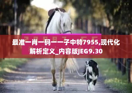 最准一肖一码一一子中特7955,现代化解析定义_内容版JEG9.30