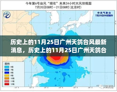 历史上的广州天鸽台风最新消息，全面指南与应对策略