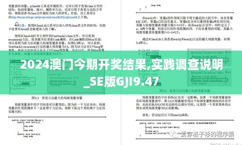 2024澳门今期开奖结果,实践调查说明_SE版GJI9.47