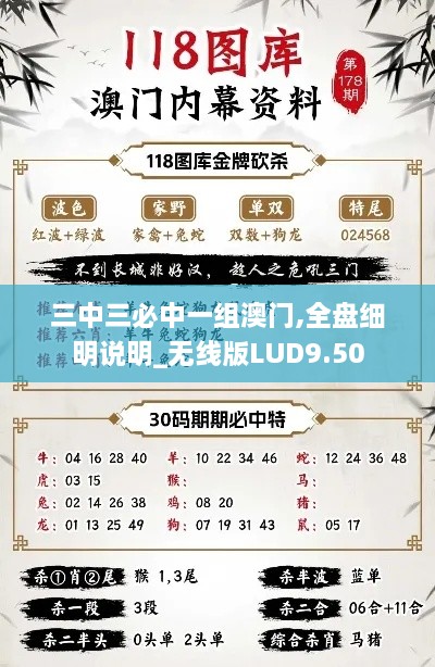 三中三必中一组澳门,全盘细明说明_无线版LUD9.50