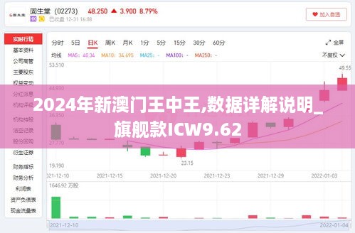 2024年新澳门王中王,数据详解说明_旗舰款ICW9.62