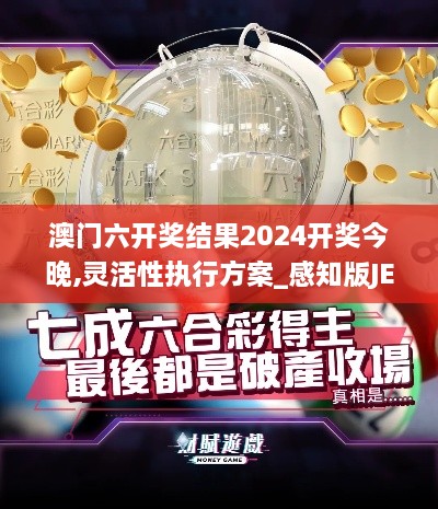 澳门六开奖结果2024开奖今晚,灵活性执行方案_感知版JES9.18