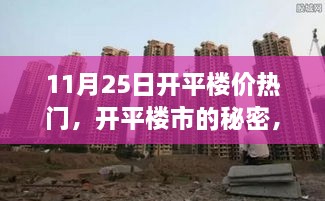 揭秘开平楼市秘密，友情相伴的温馨购房之旅（11月25日开平楼价热点解析）