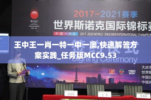 王中王一肖一特一中一澳,快速解答方案实践_任务版MCC9.53