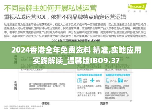 2024香港全年免费资料 精准,实地应用实践解读_温馨版IBO9.37