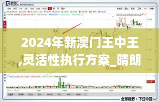 2024年新澳门王中王,灵活性执行方案_晴朗版SYL9.38