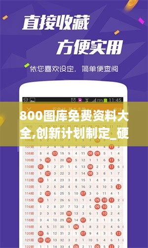 800图库免费资料大全,创新计划制定_硬核版NEE9.49