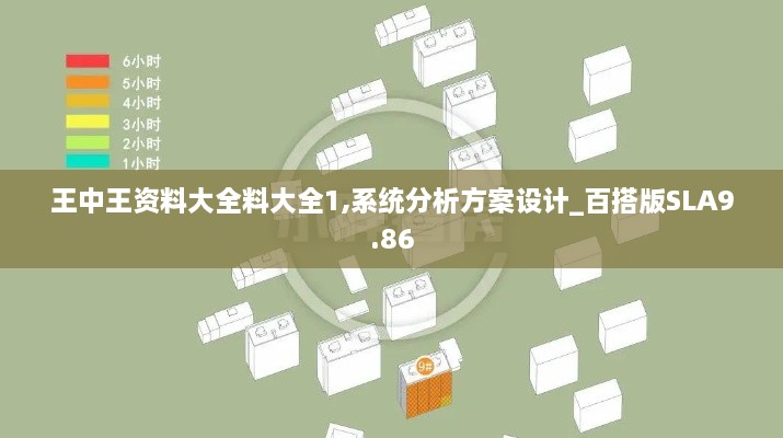 王中王资料大全料大全1,系统分析方案设计_百搭版SLA9.86