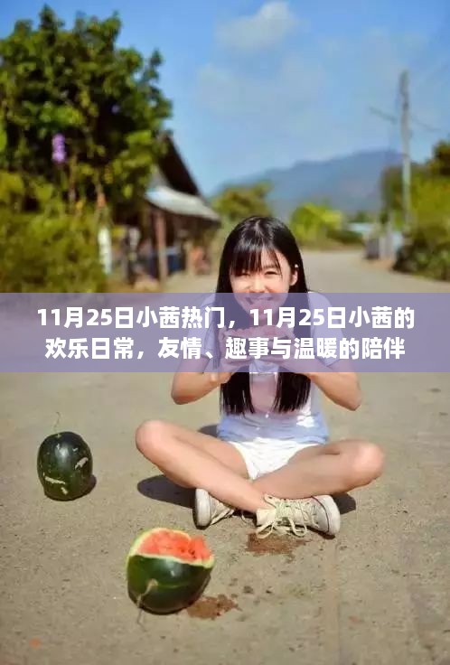 11月25日小茜的欢乐日常，友情、趣事与温馨陪伴的时光