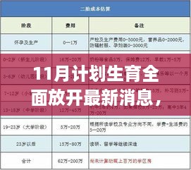 涉政问题解析，11月计划生育政策全面放开最新动态及影响探讨