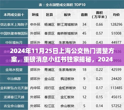 独家揭秘，2024年上海公交热门调整方案解析及预测（附详细调整方案）