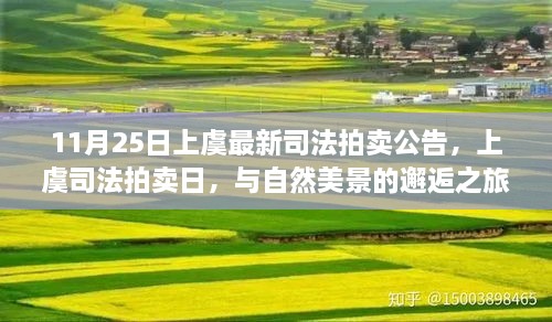 上虞司法拍卖日，与自然美景的邂逅之旅，探寻内心宁静与平和的启程公告