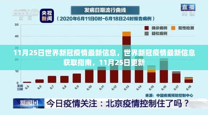 11月25日全球新冠疫情最新信息及获取指南