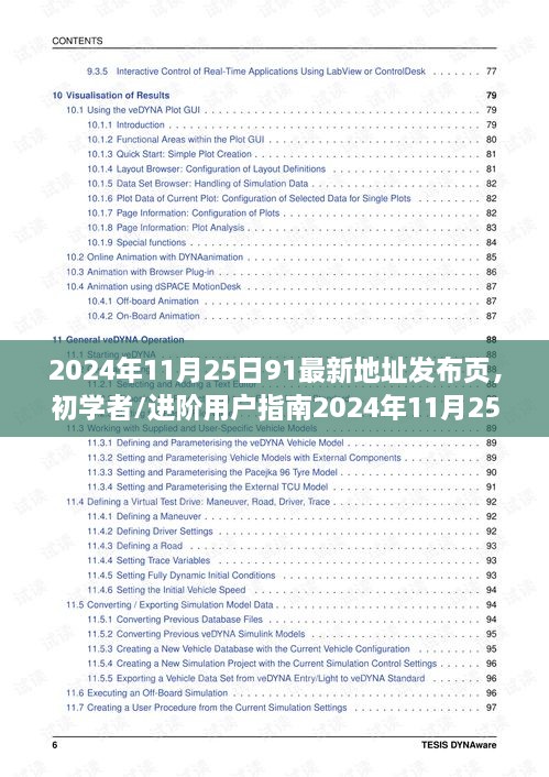 初学者与进阶用户指南，2024年11月25日91最新地址发布页操作全攻略