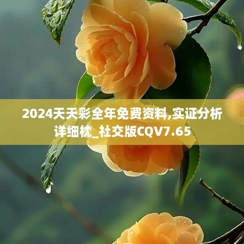 2024天天彩全年免费资料,实证分析详细枕_社交版CQV7.65