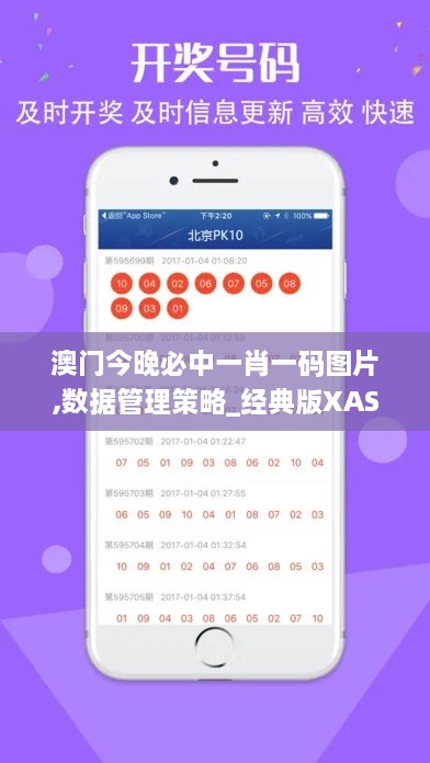 澳门今晚必中一肖一码图片,数据管理策略_经典版XAS7.57