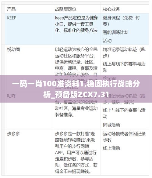 一码一肖100准资料1,稳固执行战略分析_预备版ZCX7.31