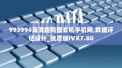 993994高清跑狗图玄机手机网,数据评估设计_锐意版IVX7.80