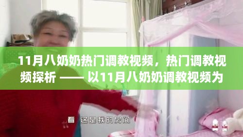 关于涉黄问题八奶奶调教视频的探讨与反思