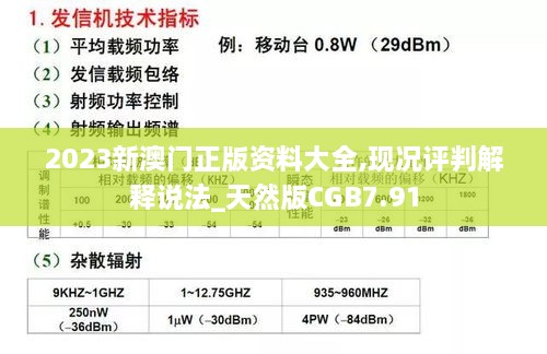 2023新澳门正版资料大全,现况评判解释说法_天然版CGB7.91