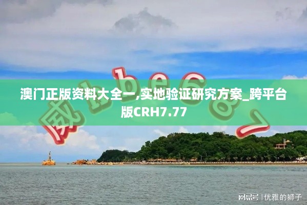 澳门正版资料大全一,实地验证研究方案_跨平台版CRH7.77