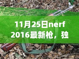 独家爆料，NERF 2016最新枪支揭秘，玩转射击游戏新体验！