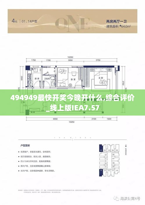 494949最快开奖今晚开什么,综合评价_线上版IEA7.57