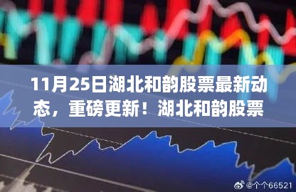 湖北和韵股票最新动态，科技新品揭秘与智能革新引领未来投资风潮（11月25日更新）