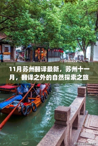 苏州十一月，翻译之外的自然探索之旅，寻找内心的宁静港湾