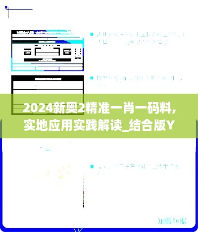 2024新奥2精准一肖一码料,实地应用实践解读_结合版YMG7.15