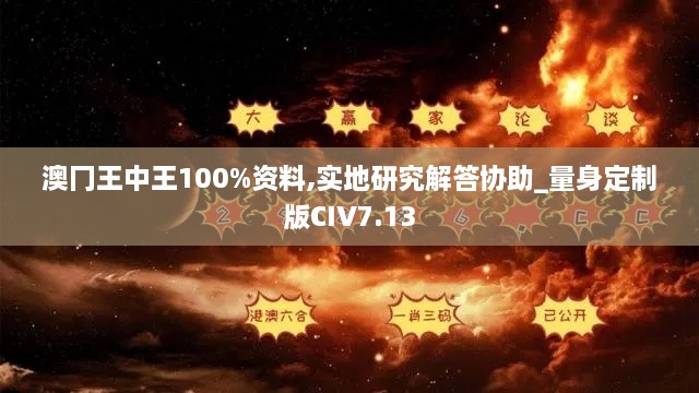 澳冂王中王100%资料,实地研究解答协助_量身定制版CIV7.13