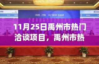 禹州市热门洽谈项目深度解析，聚焦11月25日重要洽谈活动纪实。