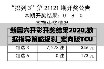 新奥六开彩开奖结果2020,数据指导策略规划_定向版TCU7.98