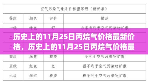 历史上的11月25日丙烷气价格动态，最新价格与深入解析