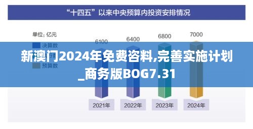 新澳门2024年免费咨料,完善实施计划_商务版BOG7.31