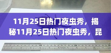 揭秘昆虫界的夜间盛宴，11月25日热门夜虫秀盛大开启