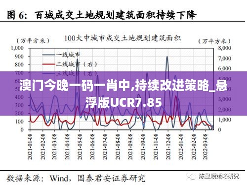 澳门今晚一码一肖中,持续改进策略_悬浮版UCR7.85