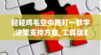 轻轻鸡毛空中舞打一数字,决策支持方案_工具版ZKO7.87