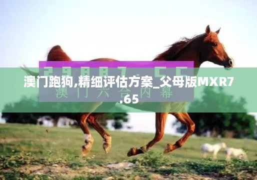 澳门跑狗,精细评估方案_父母版MXR7.65