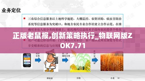 正版老鼠报,创新策略执行_物联网版ZOK7.71