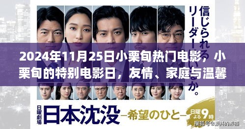 小栗旬电影日，友情、家庭与温馨相伴的奇妙时光（2024年11月25日热门电影回顾）